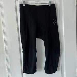Ibex cycling pants tights padded L merino wool blend